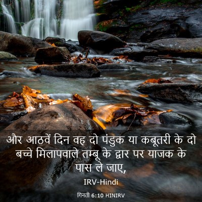 Picture 03 - गिनती 6:10 HINIRV - और आठवें दिन वह दो - Bible Verse Picture