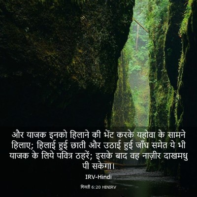 Picture 03 - गिनती 6:20 HINIRV - और याजक इनको - Bible Verse Picture