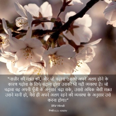 Picture 03 - गिनती 6:21 HINIRV - “नाज़ीर की मन्नत - Bible Verse Picture
