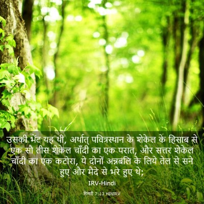 Picture 03 - गिनती 7:13 HINIRV - उसकी भेंट यह थी, - Bible Verse Picture