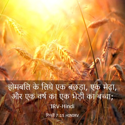 Picture 03 - गिनती 7:15 HINIRV - होमबलि के लिये एक - Bible Verse Picture