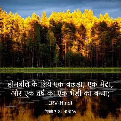 Picture 03 - गिनती 7:21 HINIRV - होमबलि के लिये एक - Bible Verse Picture