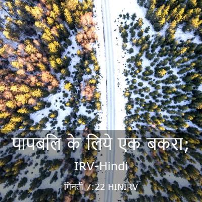 Picture 03 - गिनती 7:22 HINIRV - पापबलि के लिये एक - Bible Verse Picture