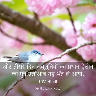 Picture 03 - गिनती 7:24 HINIRV - और तीसरे दिन - Bible Verse Picture