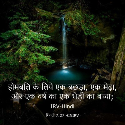 Picture 03 - गिनती 7:27 HINIRV - होमबलि के लिये एक - Bible Verse Picture
