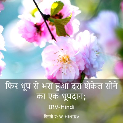 Picture 03 - गिनती 7:38 HINIRV - फिर धूप से भरा हुआ - Bible Verse Picture