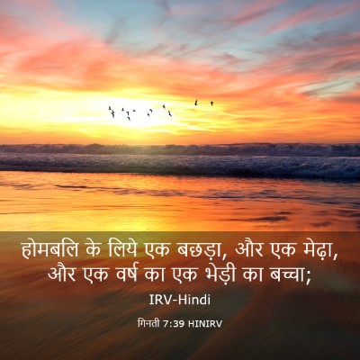Picture 03 - गिनती 7:39 HINIRV - होमबलि के लिये एक - Bible Verse Picture