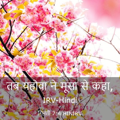 Picture 03 - गिनती 7:4 HINIRV - तब यहोवा ने मूसा से - Bible Verse Picture