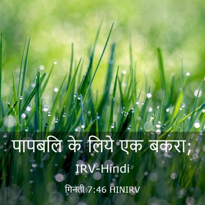 Picture 03 - गिनती 7:46 HINIRV - पापबलि के लिये एक - Bible Verse Picture