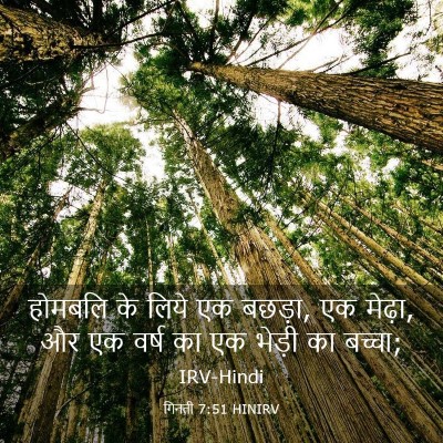 Picture 03 - गिनती 7:51 HINIRV - होमबलि के लिये एक - Bible Verse Picture