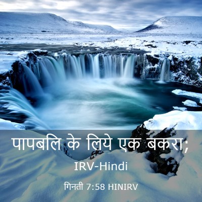 Picture 03 - गिनती 7:58 HINIRV - पापबलि के लिये एक - Bible Verse Picture