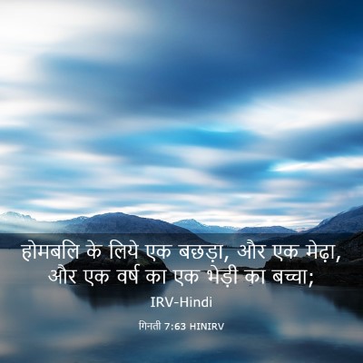 Picture 03 - गिनती 7:63 HINIRV - होमबलि के लिये एक - Bible Verse Picture