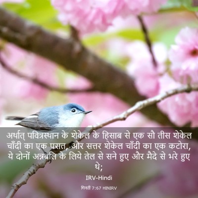 Picture 03 - गिनती 7:67 HINIRV - अर्थात् - Bible Verse Picture