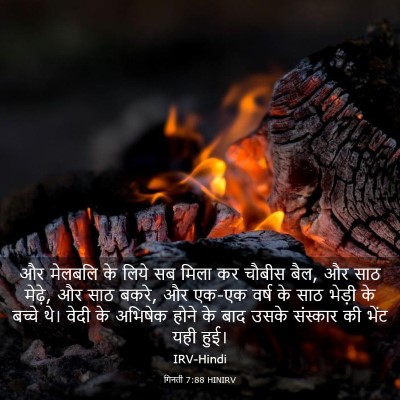 Picture 03 - गिनती 7:88 HINIRV - और मेलबलि के लिये - Bible Verse Picture