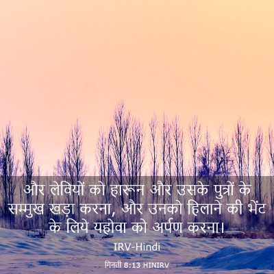 Picture 03 - गिनती 8:13 HINIRV - और लेवियों को - Bible Verse Picture