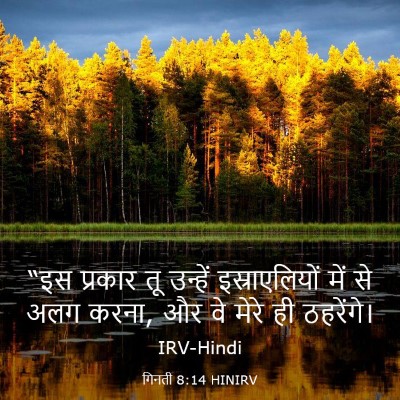 Picture 03 - गिनती 8:14 HINIRV - “इस प्रकार तू - Bible Verse Picture