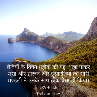 Picture 03 - गिनती 8:20 HINIRV - लेवियों के विषय - Bible Verse Picture