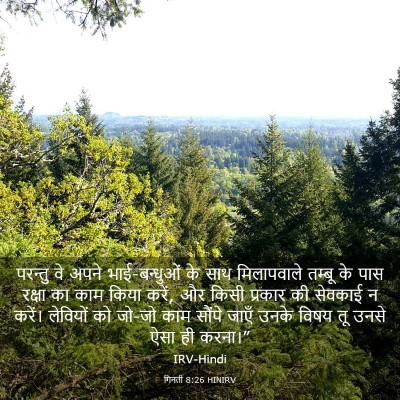 Picture 03 - गिनती 8:26 HINIRV - परन्तु वे अपने - Bible Verse Picture