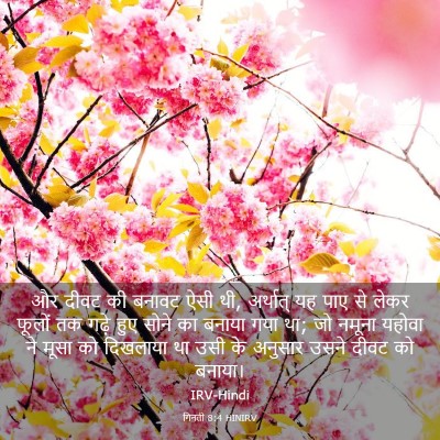 Picture 03 - गिनती 8:4 HINIRV - और दीवट की बनावट - Bible Verse Picture