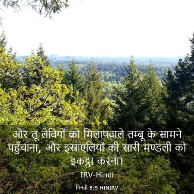 Picture 03 - गिनती 8:9 HINIRV - और तू लेवियों को - Bible Verse Picture