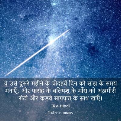 Picture 03 - गिनती 9:11 HINIRV - वे उसे दूसरे महीने - Bible Verse Picture