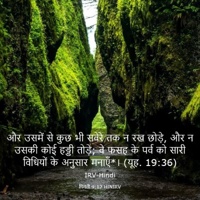 Picture 03 - गिनती 9:12 HINIRV - और उसमें से कुछ भी - Bible Verse Picture