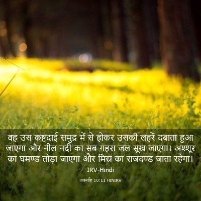 Picture 03 - जकर्याह 10:11 HINIRV - वह उस कष्टदाई - Bible Verse Picture