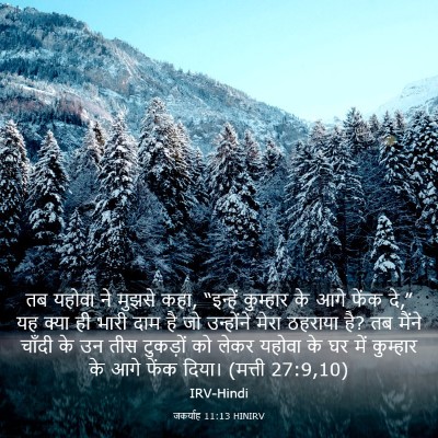 Picture 03 - जकर्याह 11:13 HINIRV - तब यहोवा ने मुझसे - Bible Verse Picture