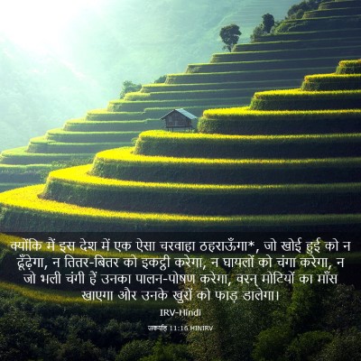 Picture 03 - जकर्याह 11:16 HINIRV - क्योंकि मैं इस देश - Bible Verse Picture