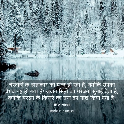 Picture 03 - जकर्याह 11:3 HINIRV - चरवाहों के - Bible Verse Picture