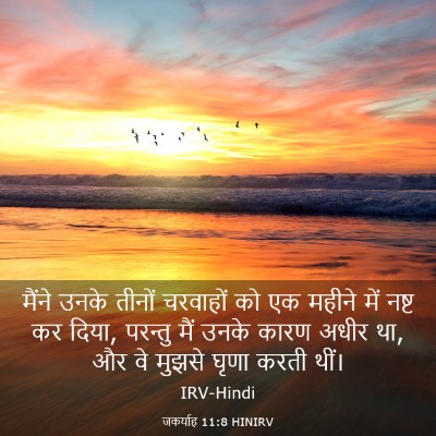 Picture 03 - जकर्याह 11:8 HINIRV - मैंने उनके तीनों - Bible Verse Picture