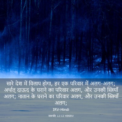 Picture 03 - जकर्याह 12:12 HINIRV - सारे देश में विलाप - Bible Verse Picture