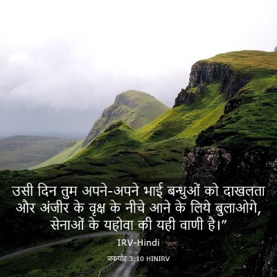 Picture 03 - जकर्याह 3:10 HINIRV - उसी दिन तुम - Bible Verse Picture