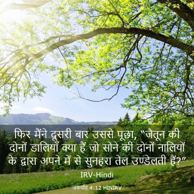 Picture 03 - जकर्याह 4:12 HINIRV - फिर मैंने दूसरी - Bible Verse Picture