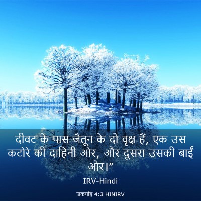 Picture 03 - जकर्याह 4:3 HINIRV - दीवट के पास जैतून - Bible Verse Picture