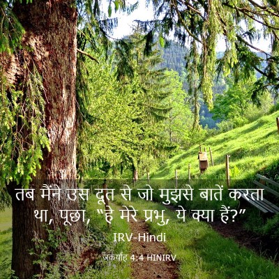 Picture 03 - जकर्याह 4:4 HINIRV - तब मैंने उस दूत से - Bible Verse Picture