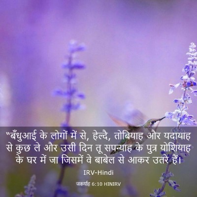 Picture 03 - जकर्याह 6:10 HINIRV - “बँधुआई के लोगों - Bible Verse Picture