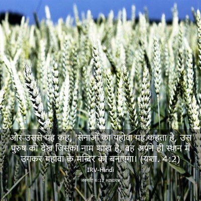 Picture 03 - जकर्याह 6:12 HINIRV - और उससे यह कह, - Bible Verse Picture