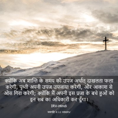 Picture 03 - जकर्याह 8:12 HINIRV - क्योंकि अब शान्ति - Bible Verse Picture