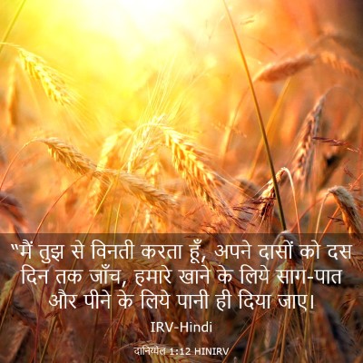 Picture 03 - दानिय्येल 1:12 HINIRV - “मैं तुझ से विनती - Bible Verse Picture