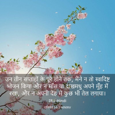 Picture 03 - दानिय्येल 10:3 HINIRV - उन तीन सप्ताहों के - Bible Verse Picture