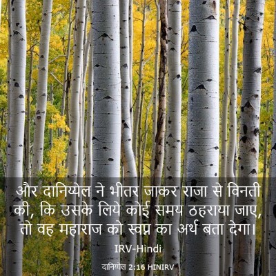 Picture 03 - दानिय्येल 2:16 HINIRV - और दानिय्येल ने - Bible Verse Picture