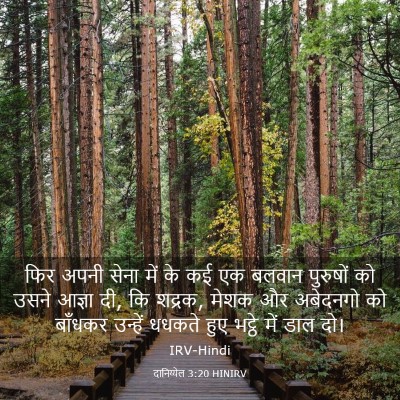 Picture 03 - दानिय्येल 3:20 HINIRV - फिर अपनी सेना में - Bible Verse Picture