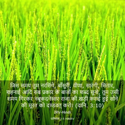 Picture 03 - दानिय्येल 3:5 HINIRV - जिस समय तुम - Bible Verse Picture