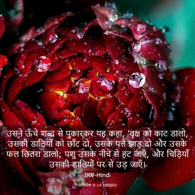 Picture 03 - दानिय्येल 4:14 HINIRV - उसने ऊँचे शब्द से - Bible Verse Picture