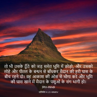 Picture 03 - दानिय्येल 4:15 HINIRV - तो भी उसके ठूँठे को - Bible Verse Picture