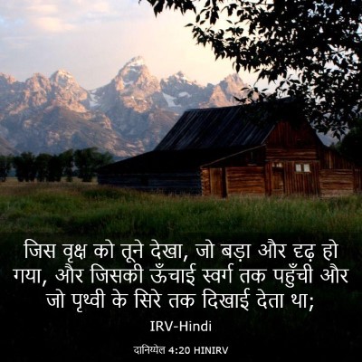 Picture 03 - दानिय्येल 4:20 HINIRV - जिस वृक्ष को तूने - Bible Verse Picture