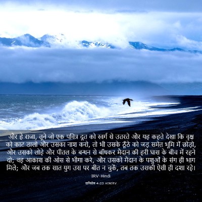 Picture 03 - दानिय्येल 4:23 HINIRV - और हे राजा, तूने जो - Bible Verse Picture