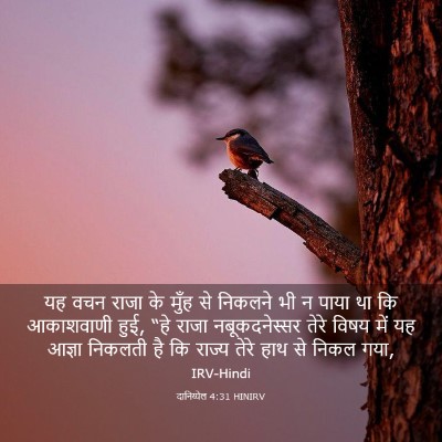 Picture 03 - दानिय्येल 4:31 HINIRV - यह वचन राजा के मुँह - Bible Verse Picture