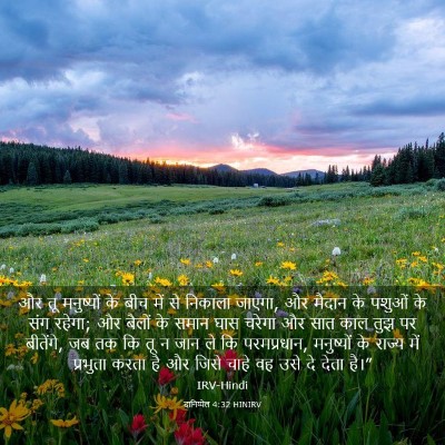 Picture 03 - दानिय्येल 4:32 HINIRV - और तू मनुष्यों के - Bible Verse Picture